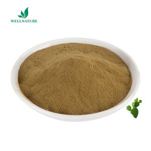 ผงสกัดจากกระบองเพชรออร์แกนิก,Gordonii สารสกัดจากกระบองเพชรจากต้นกระบองเพชรจากโรงงาน - Product Image 3