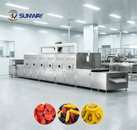 Industriële tunnelconveyorband droogmachine voor fruit, enkelvoudige eenheid, voor het drogen van fruit.