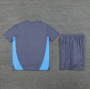 Juego de entrenamiento de Club 24/25 de alta calidad, uniforme de fútbol personalizado con Camiseta deportiva tailandesa de calidad, servicio OEM disponible - Product Image 2