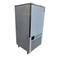 Congélateur rapide à 11 plateaux pour fruits de mer, pains, boulettes, beurre, monotempérature, en acier inoxydable 304, pour restaurants, hôtels, commerces, rapide