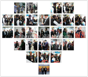 Nhà Máy Giá hiện đại kim loại hoist cửa sổ làm sạch điện treo Gondola nền tảng làm việc ISO9001/CE chứng nhận 630-1000kg - Product Image 6