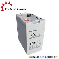 Baterai Katoda LiFePO4 Fortune Power NP600-2 Tipe Pelat Tubular 2V OPZV 500ah 600ah 800ah 1000ah untuk Penyimpanan Tenaga Surya