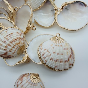 Varios nuevos encantos de playa de concha <span class=keywords><strong>Real</strong></span> Enfoque de concha moda oro Natural sumergido <span class=keywords><strong>almeja</strong></span> encantador pequeño Vieira DIY encantos - Product Image 3