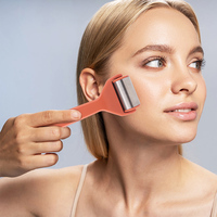 Meilleur rouleau de massage en acier inoxydable pour le visage et le refroidissement de la peau