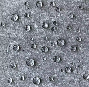 Repelente al Agua Concentrado Soluble en Agua a Base de <span class=keywords><strong>Silicato</strong></span> de Potasio Propílico - Product Image 6