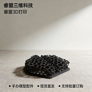 Raymankind 3D Printed Resin Model RM098 STL STP IGS Rapid Prototyping Plastic <b>Hand</b> <b>Mold</b> Customizable Accuracy 0.1-0.05mm - Product Image 5