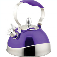 Bouilloire en acier inoxydable pour la maison, capacité 2,5 L, écologique, compatible lave-vaisselle, pour gaz et induction, options de camping, usage domestique
