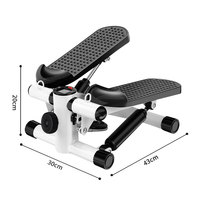 Usine Direct Home Gym Exercice Stepper Aérobie Fitness Yoga Mini Twist Stepper Machine De Marche