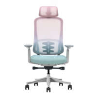 Nouvelle Arrivée Chaise de Bureau Ergonomique Design Moderne en Maille Dégradée Inclinable pour Ordinateur et Gaming, Chaise de Travail de Bureau Silla en Gros OEM