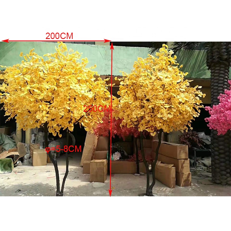 easy bonsai starter kit Bonsai Beginner Tree Starter Kit - DIY From Seed to Tree main image 1