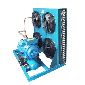 Zhongsheng pistonlu kompresör hava soğutmalı soğutma kompresörü parçası soğuk oda yoğuşmalı ünitesi Frascold