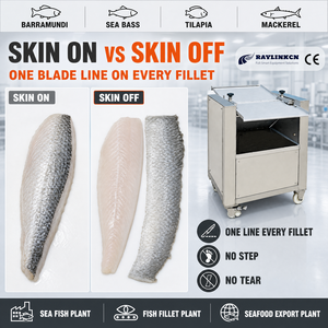 Macchina Spellatrice per Filetti di <span class=keywords><strong>Pesce</strong></span> Acciaio Inox Alimentare Pelle Espulsa Intera per Barramundi Impianto per l'Export - Product Image 1