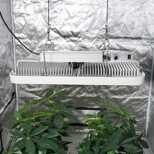 Lampes de culture LED réglables efficaces de 800 W avec 10 niveaux de luminosité pour la floraison des roses et l'horticulture - Product Image 4