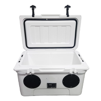 Glacière de coffre 45L en PE étanche, prête pour l'aventure, avec haut-parleurs, pour vin, nourriture, canettes, glace et confitures - Organisateur de rangement polyvalent