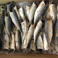Nouvelle saison, qualité supérieure, sans sable, fruits de mer séchés au soleil naturels, poisson scad rond entier, petits yeux, scad 10 kg, qualité d'exportation, vente en gros
