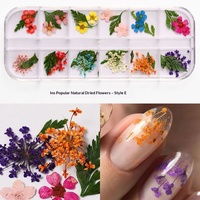Set Bunga Kering untuk Seni Kuku, 12 Warna Bunga Kering Berenda, Baby's Breath & Hydrangea, Kotak Bunga Kering Gaya Jepang
