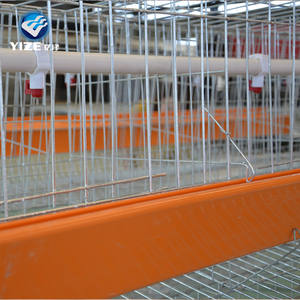 Hete Gegalvaniseerde Pluimvee Batterij Boerderij Ladder Type Laag Ei Grill Automatische Laag En Grill Gevogelte Ei Boerderij Laag Kip Cag - Product Image 3