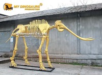 MY DINO AS-200 Squelette d'animal de l'ère glaciaire, squelette de mamouth doré pour la décoration