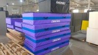 Chine Meilleure vente de différents types de tapis d'atterrissage de gymnastique tapis d'atterrissage à barre inégale tapis d'atterrissage à poutre d'équilibre pour l'exportation