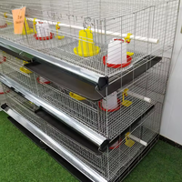 Point automatisé de type H petite cage à poulet galvanisée importée pour le poulet 35000 oiseaux pour la ferme