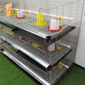 Punto automatizzato di H tipo piccola gabbia di pollo galvanizzata importato per 35000 uccelli pollo per la fattoria - Product Image 5