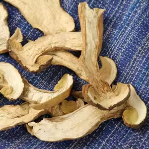 Extrait de Boletus Edulis de haute qualité du Yunnan, Extrait naturel de Boletus Edulis séché, Croissance complète du Boletus Edulis - Product Image 4