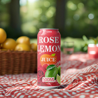 Fabricant OEM de boissons non alcoolisées en conserve, saveur jus de fruits naturel (citron, pêche, pamplemousse), marque privée personnalisée