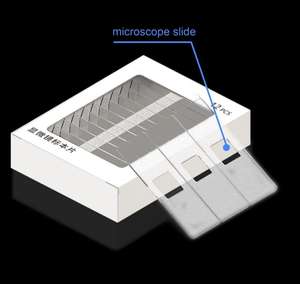 Lames de <span class=keywords><strong>microscope</strong></span> en plastique réutilisables incassables, haute transparence, 75x25x1mm, 12 pièces/boîte, fournitures de laboratoire et scolaires - Product Image 2