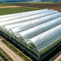 Film de serre anti-poussière de qualité commerciale 7 mil pour la production commerciale de tomates