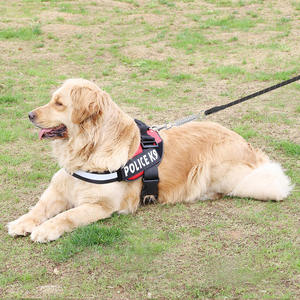 Guinzaglio per cani di lusso all'ingrosso morbido e resistente in Nylon regolabile pesante per camminare all'aperto stile semplice - Product Image 5