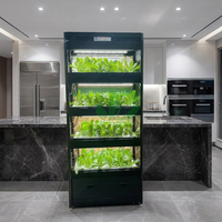 Équipement de culture hydroponique automatique multicouche NFT à 36 trous avec pompe, conception peu encombrante pour l'agriculture urbaine et le jardinage domestique