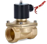 Brass Solenoid Valves, Water and Air, Normally Open, AC220V