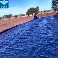 Géomembrane HDPE pour les travaux d'étanchéité des bassins de rejet de minerai de plomb-zinc