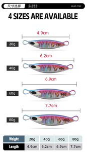<span class=keywords><strong>Leurre</strong></span> de pêche au jig lumineux pour eau salée, styles les plus vendus de Raylor, 20g, 40g, 60g, 80g, hybride lent, <span class=keywords><strong>pas</strong></span> <span class=keywords><strong>cher</strong></span>, échantillon gratuit, grands yeux - Product Image 3