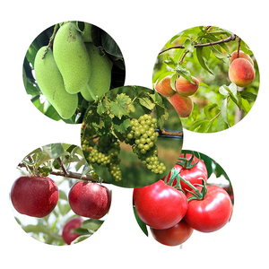 Polyester Mesh <strong>Net</strong> <strong>Drawstring</strong> Bag Eco Vegetable Fruit Mesh <strong>Net</strong> Bag - Product Image 5