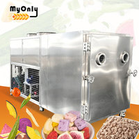 Industriële Melk Lyofilisator Automatisch 100kg 250kg Groente Vacuüm Vriesdroogmachine voor Voedsel