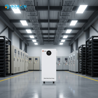 SRNE SE15B 48V 51.2V 300Ah 15kWh Baterai Penyimpanan Energi LiFePO4 untuk Sistem Surya dengan Pengontrol MPPT Inverter Gelombang Sinus Murni