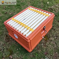 Ruches en plastique thermoformé Langstroth à 3 étages et 10 cadres à vendre - Boîte de ruche - Équipement d'apiculture en gros - Fournitures pour ruches