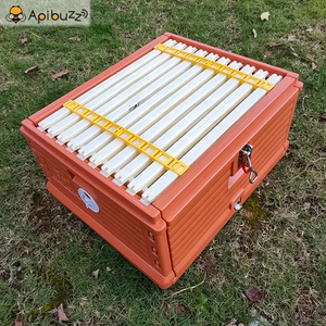 Ruches en plastique thermoformé Langstroth à 3 étages et 10 cadres à vendre - Boîte de ruche - Équipement d'apiculture en gros - Fournitures pour ruches - Product Image 4