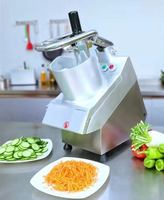 Nieuwe Automatische Roestvrijstalen Commerciële Elektrische Kaasrasp Machine Gesneden Groenten En Fruit 550W