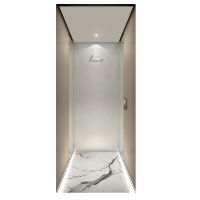 Ascenseurs de Villa à Traction en Acier Inoxydable Série Premium Système de Contrôle G12/G15 220V Design Moderne Personnalisable Garantie 2 Ans