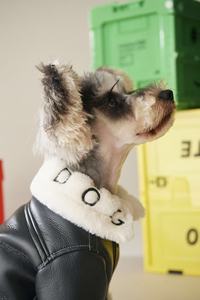 Veste matelassée de luxe pour chien, collection automne-hiver, motif uni, en cuir PU noir avec fourrure en duvet et peluche - Product Image 6