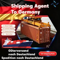Agente de Transporte Marítimo en Alemania, Envío Aéreo desde el Aeropuerto de Frankfurt, Transporte de Carga, Mensajería, Logística, Transitario