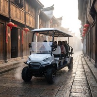 Nouvelle voiturette de golf à essence 300CC, 8 places, buggy tout-terrain, suspension MacPherson, pour la location en camping, sur la plage et les navettes touristiques en resort