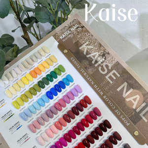 <span class=keywords><strong>KAISE</strong></span>-Juego de Esmalte de Gel para Uñas, Esmalte UV Multicolor de 66 Colores para Uso en Salón, Fuente de Lámpara LED, Venta Al por Mayor, 2025 - Product Image 3