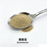 Poudre de culture microbienne Acetobacter 10 milliards UFC/g, bactéries acides acétyliques dédiées à la fermentation acétique du vinaigre industriel
