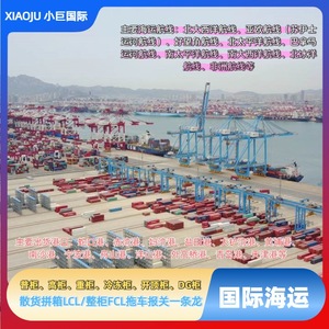 Little Giant International Sea Freight France DDP Porte à Porte avec Dédouanement et Taxes Incluses - Product Image 5