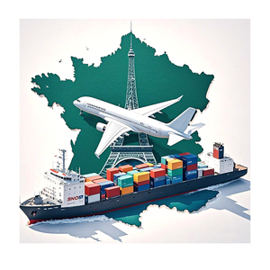 18 Anni di Esperienza in Cina - Trasporto Marittimo Francia, Servizio Personalizzato, Vantaggio del Magazzino Proprio - Product Image 2