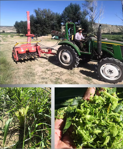 Cosechadora de Granos Montada Lateralmente en Tractor con Caja de Cambios y Rodamientos, Alta Productividad, Accionamiento por Engranajes para Cosecha de Maíz y Pasto - Product Image 6