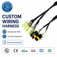 Produsen Kabel OEMODM, Kabel Harness Mobil Lengkap Kustom, Kabel Harness Dalam Mobil, Set Kabel Listrik untuk Mobil Golf